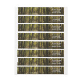 Appalachian Trail in oktober in Shenandoah (Vel)