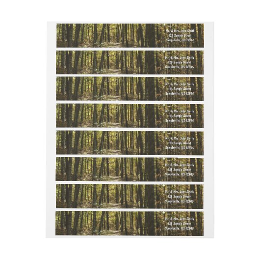 Appalachian Trail in oktober in Shenandoah (Vel)