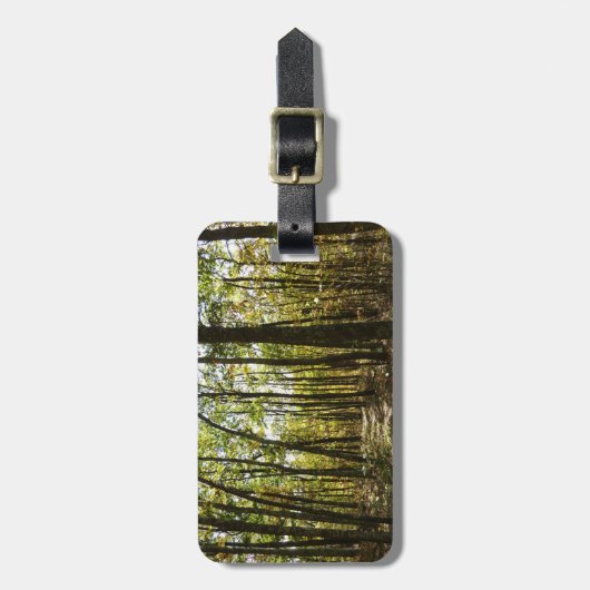 Appalachian Trail in oktober in Shenandoah Bagagelabel (Voorkant verticaal)