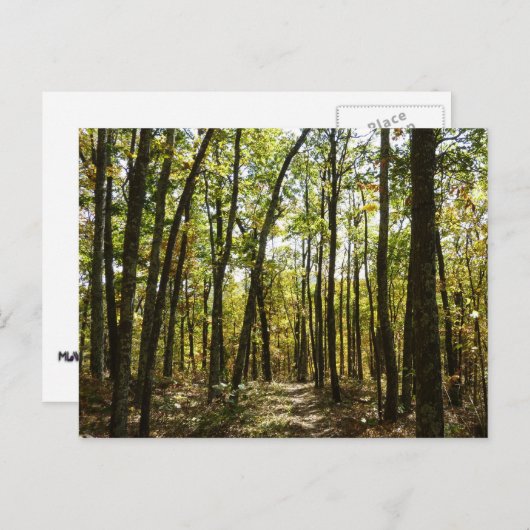 Appalachian Trail in oktober in Shenandoah Briefkaart (Voorkant / Achterkant)