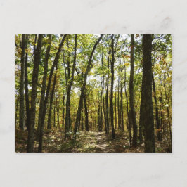 Appalachian Trail in oktober in Shenandoah Briefkaart