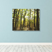 Appalachian Trail in oktober in Shenandoah Canvas Afdruk (Insitu (Houten vloer))