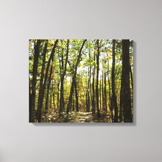 Appalachian Trail in oktober in Shenandoah Canvas Afdruk (Voorkant)