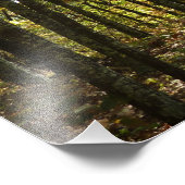 Appalachian Trail in oktober in Shenandoah Foto Afdruk (Hoek)