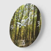 Appalachian Trail in oktober in Shenandoah Grote Klok (Hoek)