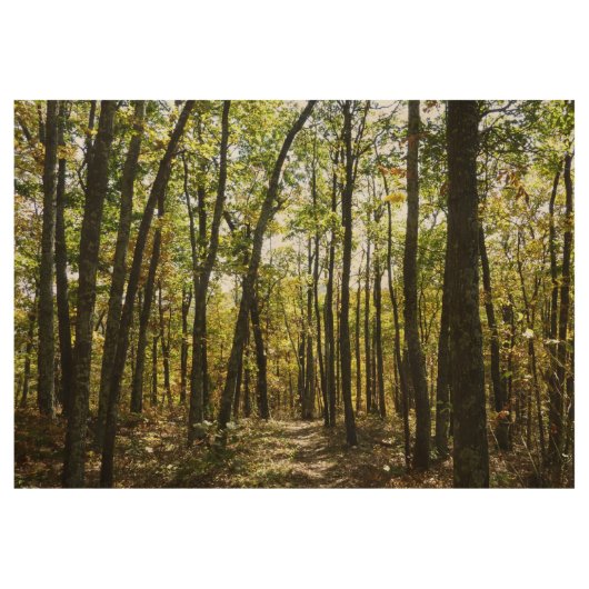 Appalachian Trail in oktober in Shenandoah Houten Poster (Voorkant)