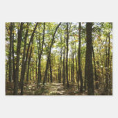 Appalachian Trail in oktober in Shenandoah Inpakpapier Vel (Voorkant)