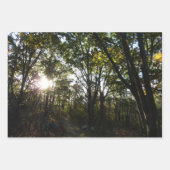 Appalachian Trail in oktober in Shenandoah Inpakpapier Vel (Voorkant 3)