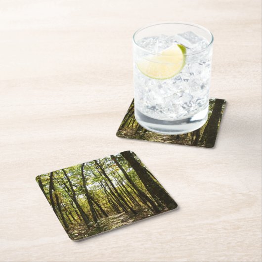 Appalachian Trail in oktober in Shenandoah Kartonnen Onderzetters (Insitu)