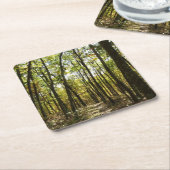 Appalachian Trail in oktober in Shenandoah Kartonnen Onderzetters (Schuin)