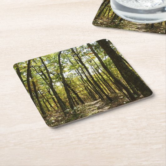 Appalachian Trail in oktober in Shenandoah Kartonnen Onderzetters (Schuin)