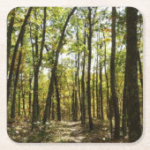 Appalachian Trail in oktober in Shenandoah Kartonnen Onderzetters (Voorkant)