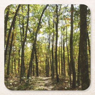 Appalachian Trail in oktober in Shenandoah Kartonnen Onderzetters