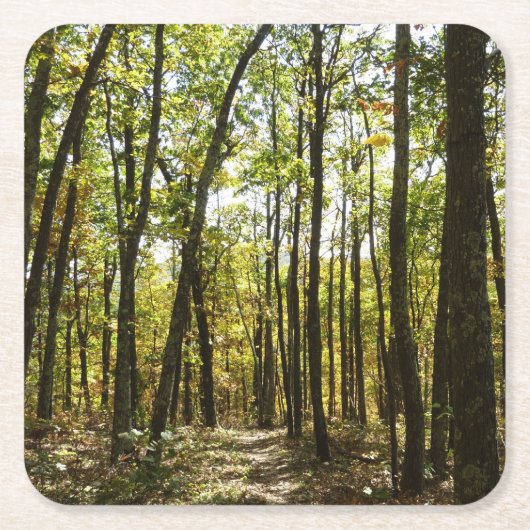 Appalachian Trail in oktober in Shenandoah Kartonnen Onderzetters (Voorkant)