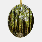 Appalachian Trail in oktober in Shenandoah Keramisch Ornament (Rechts)