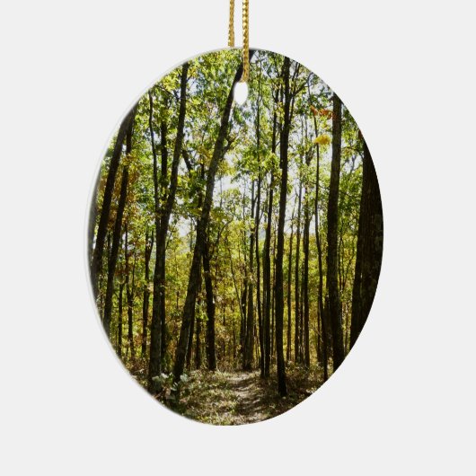 Appalachian Trail in oktober in Shenandoah Keramisch Ornament (Rechts)