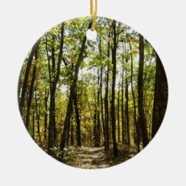 Appalachian Trail in oktober in Shenandoah Keramisch Ornament