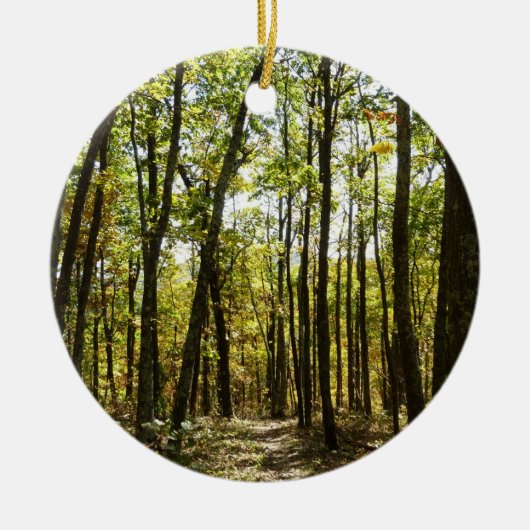 Appalachian Trail in oktober in Shenandoah Keramisch Ornament (Voorkant)