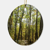 Appalachian Trail in oktober in Shenandoah Keramisch Ornament (Links)