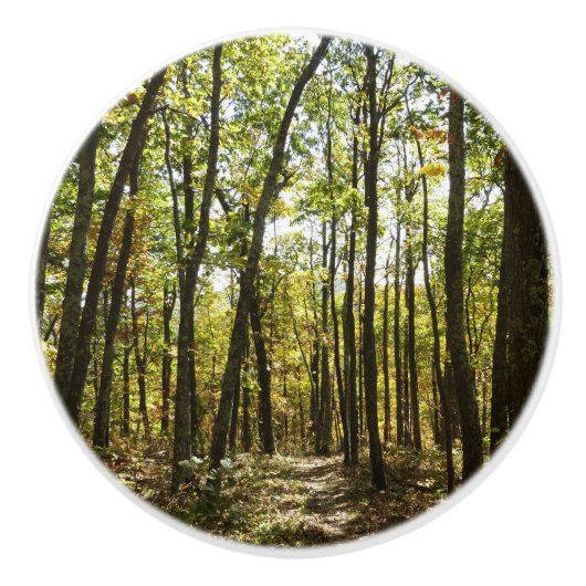 Appalachian Trail in oktober in Shenandoah Keramische Knop (Voorkant)