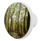 Appalachian Trail in oktober in Shenandoah Keramische Knop (Rechts)