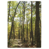 Appalachian Trail in oktober in Shenandoah Klembord (Achterkant)