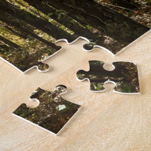 Appalachian Trail in oktober in Shenandoah Legpuzzel (Zijkant)