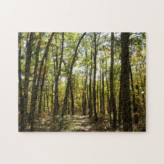 Appalachian Trail in oktober in Shenandoah Legpuzzel (Horizontaal)