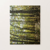 Appalachian Trail in oktober in Shenandoah Legpuzzel (Verticaal)