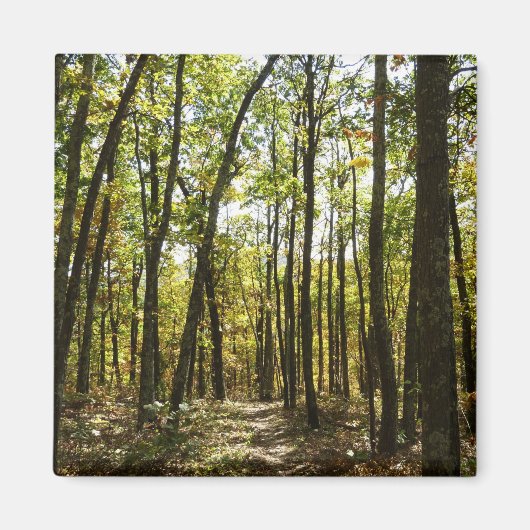 Appalachian Trail in oktober in Shenandoah Magneet (Voorkant)