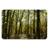 Appalachian Trail in oktober in Shenandoah Magneet (Horizontaal)