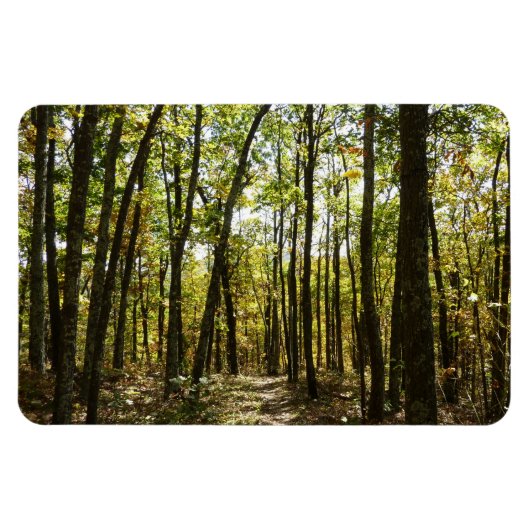 Appalachian Trail in oktober in Shenandoah Magneet (Horizontaal)