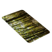 Appalachian Trail in oktober in Shenandoah Magneet (Rechterzijde)