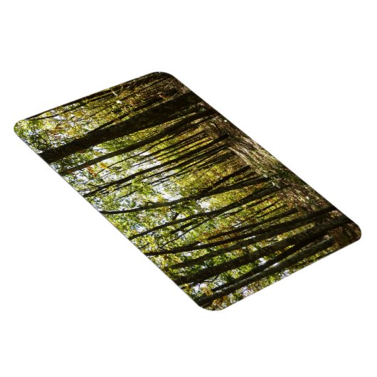 Appalachian Trail in oktober in Shenandoah Magneet (Rechterzijde)