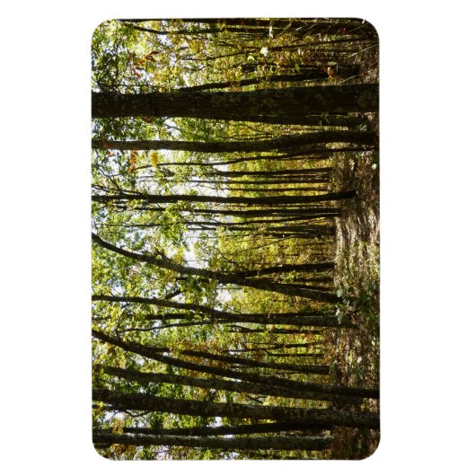 Appalachian Trail in oktober in Shenandoah Magneet (Verticaal)