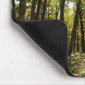 Appalachian Trail in oktober in Shenandoah Muismat (Hoek)