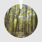 Appalachian Trail in oktober in Shenandoah Ornament (achterkant)