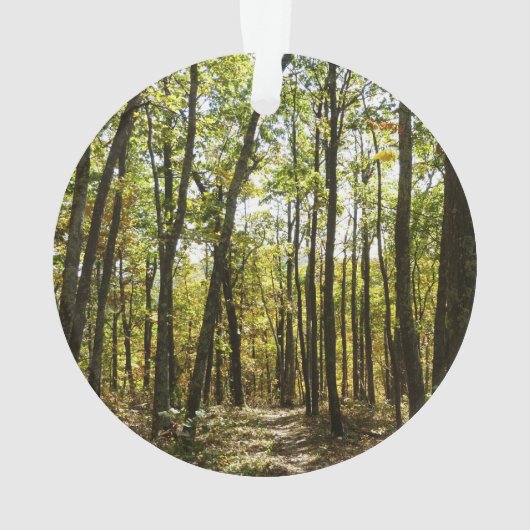 Appalachian Trail in oktober in Shenandoah Ornament (achterkant)