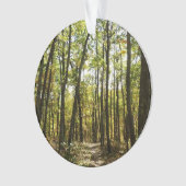 Appalachian Trail in oktober in Shenandoah Ornament (voorkant)