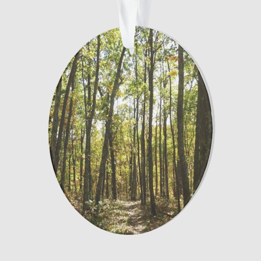 Appalachian Trail in oktober in Shenandoah Ornament (voorkant)