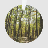 Appalachian Trail in oktober in Shenandoah Ornament (voorkant)