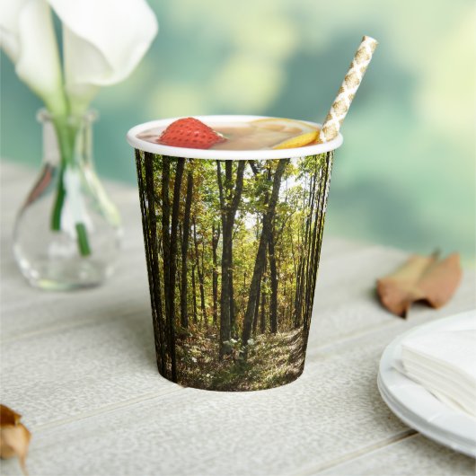 Appalachian Trail in oktober in Shenandoah Papieren Bekers (Insitu)