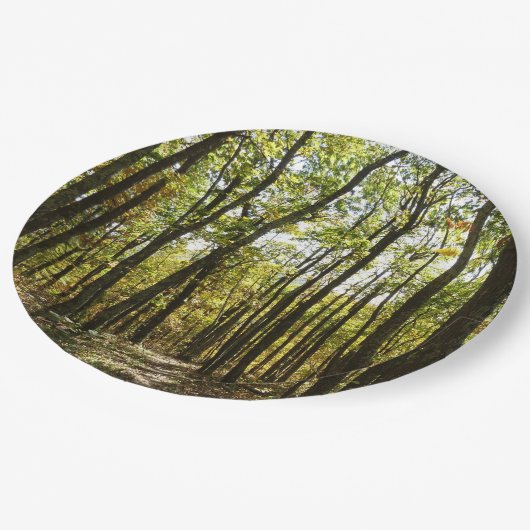 Appalachian Trail in oktober in Shenandoah Papieren Bordje (Gekanteld)