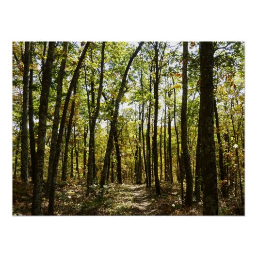 Appalachian Trail in oktober in Shenandoah Perfect Poster (Voorkant)