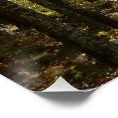 Appalachian Trail in oktober in Shenandoah Perfect Poster (Hoek)