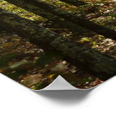 Appalachian Trail in oktober in Shenandoah Poster (Hoek)