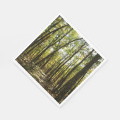 Appalachian Trail in oktober in Shenandoah Servet (Hoek)