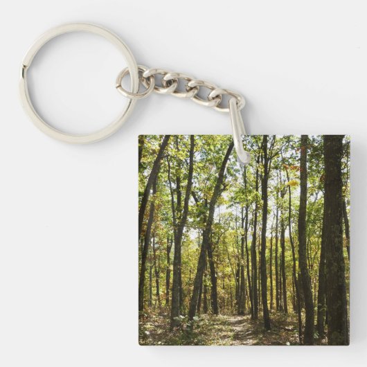 Appalachian Trail in oktober in Shenandoah Sleutelhanger (Voorkant)