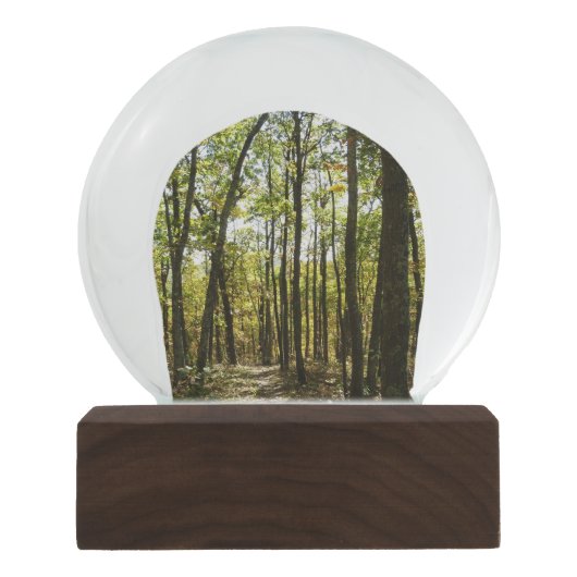 Appalachian Trail in oktober in Shenandoah Sneeuwbol (Voorkant)