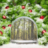 Appalachian Trail in oktober in Shenandoah Sneeuwbol (Kerstmis)